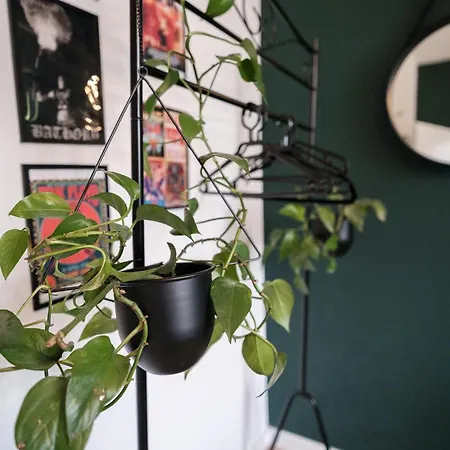 Rock 555 Appartement *