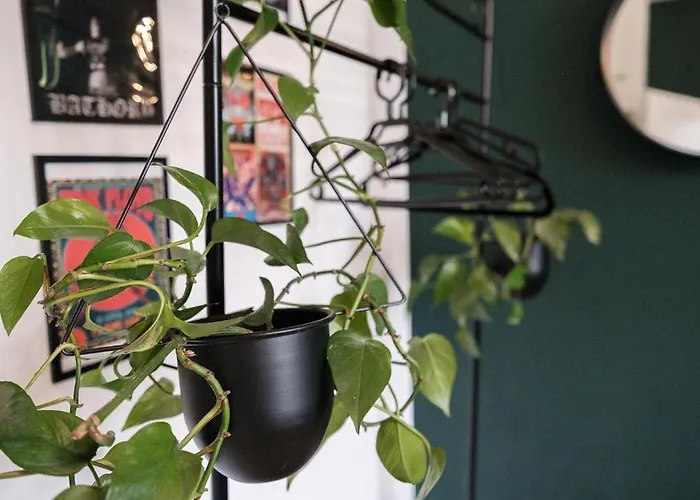 Rock 555 Lejlighed *